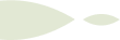 حس ماندگار